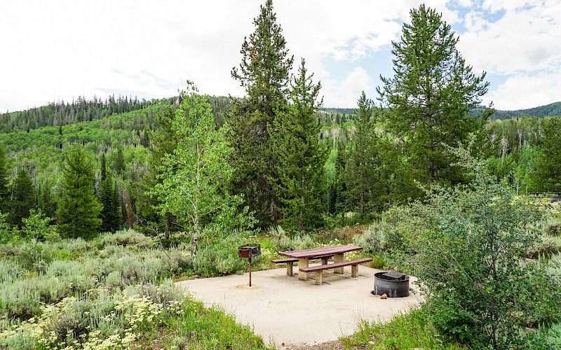 Currant Creek Campground