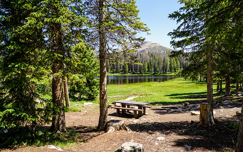Lilly Lake Campground