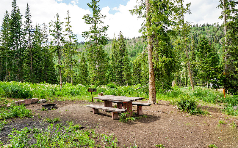 Mill Hollow Campground