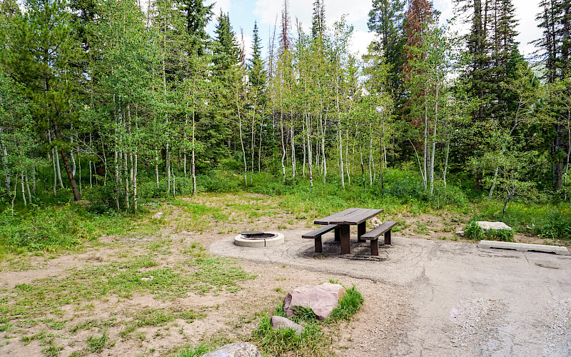 Smith-Moorehouse Campground