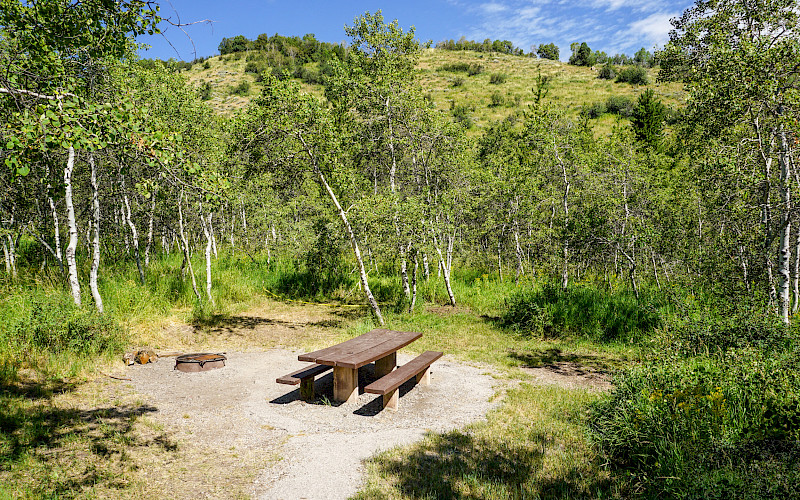 Lewis M Turner Campground