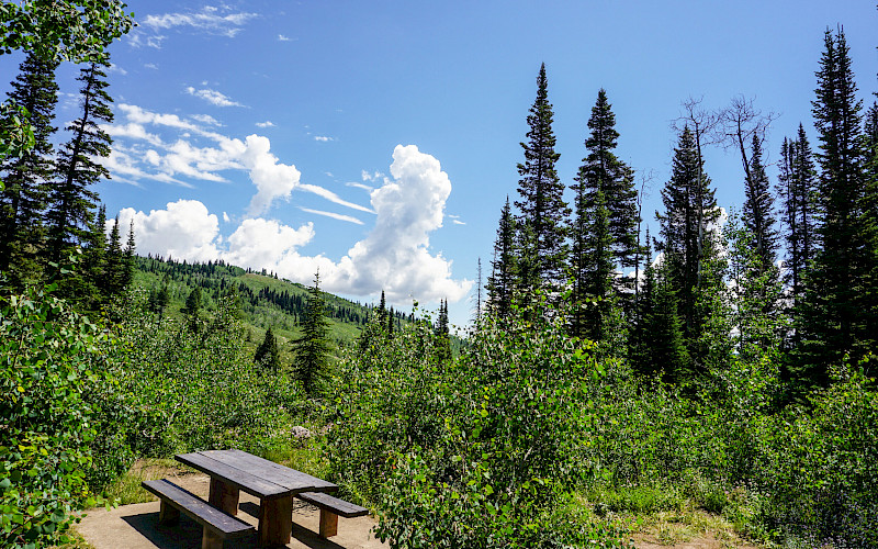 Tony Grove Campground