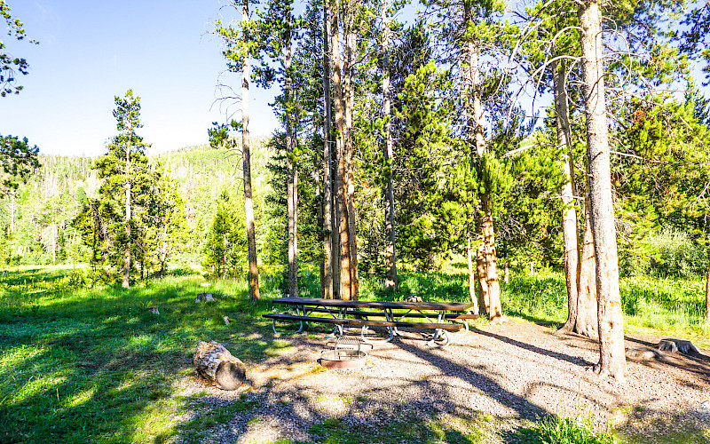 BUTTERFLY CAMPGROUND