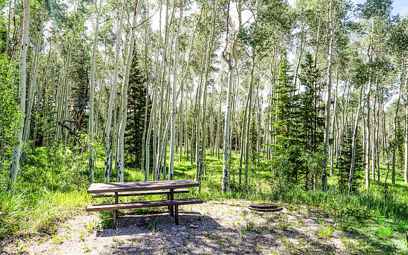 DEADHORSE TRAILHEAD CAMPGROUND
