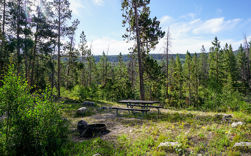 MARSH LAKE CAMPGROUND