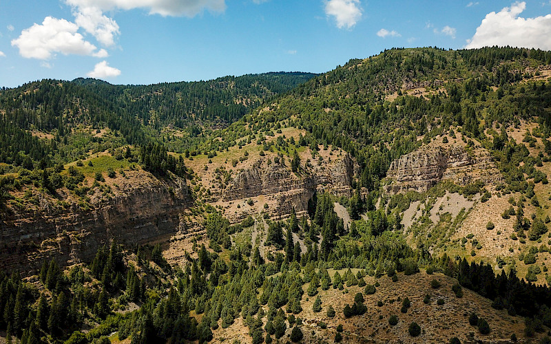 Pleasant Grove District