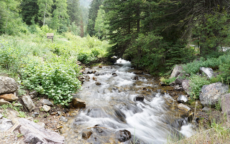 Altamont Group Campground