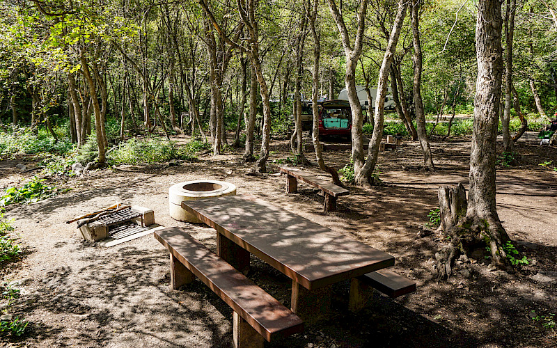 Theater in the Pines