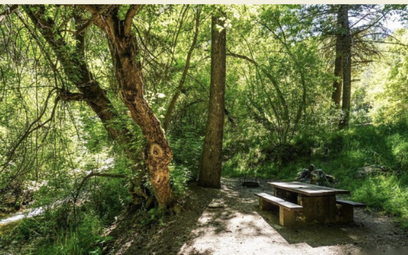 Lower Narrows Campground