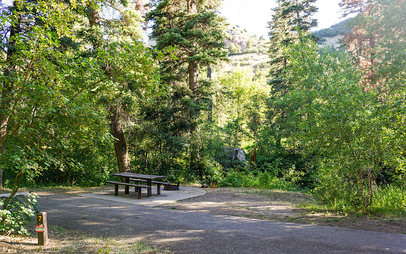 Balsam Campground