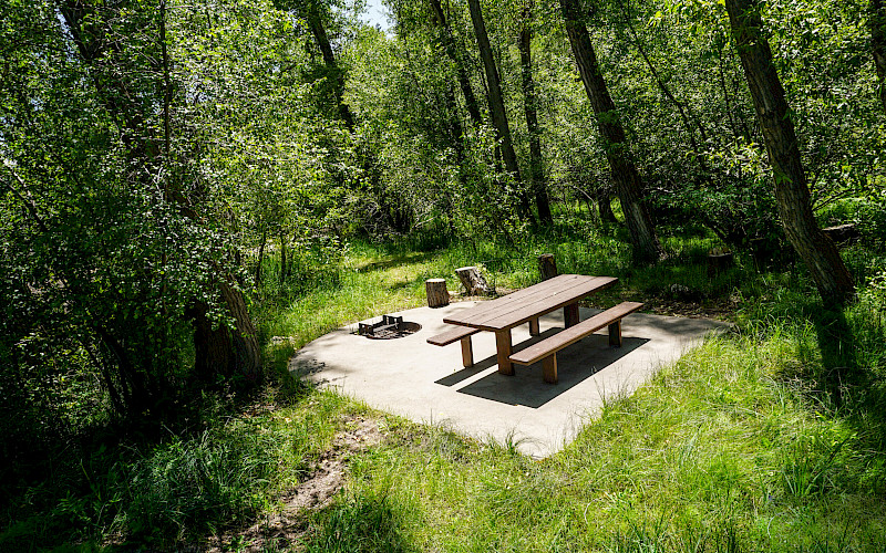 Ponderosa Campground