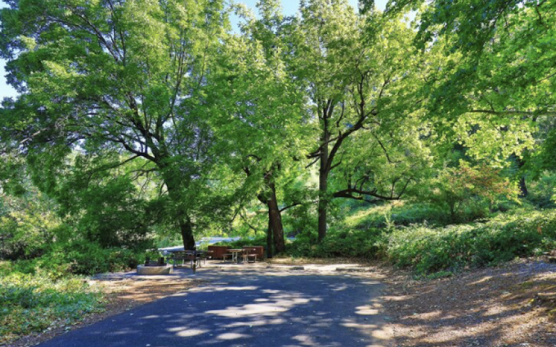 McCloud Bridge Campground