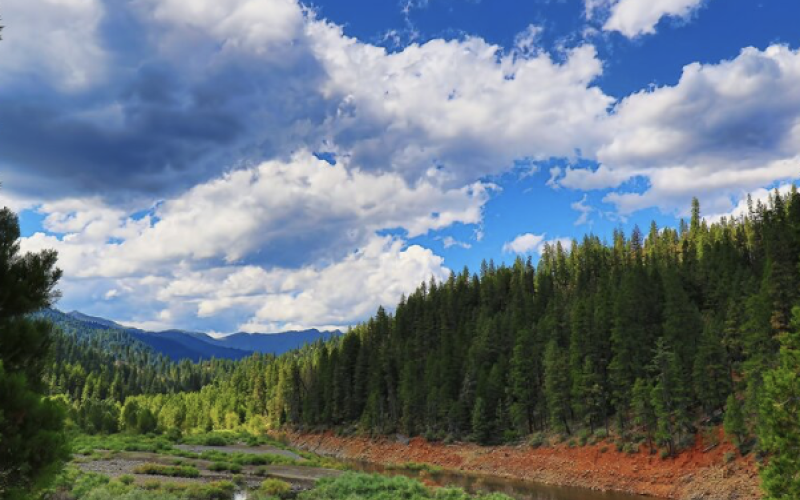 Preacher Meadow Campground