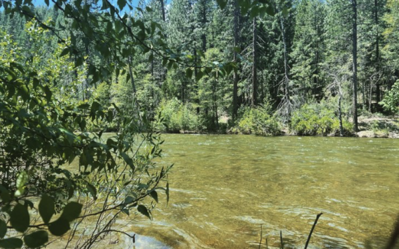 Bridge Camp Campground