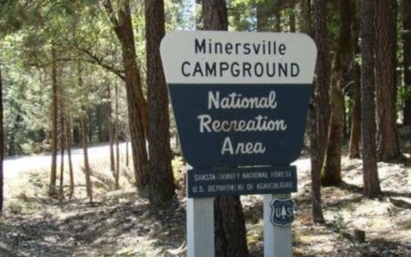 Minersville Campground