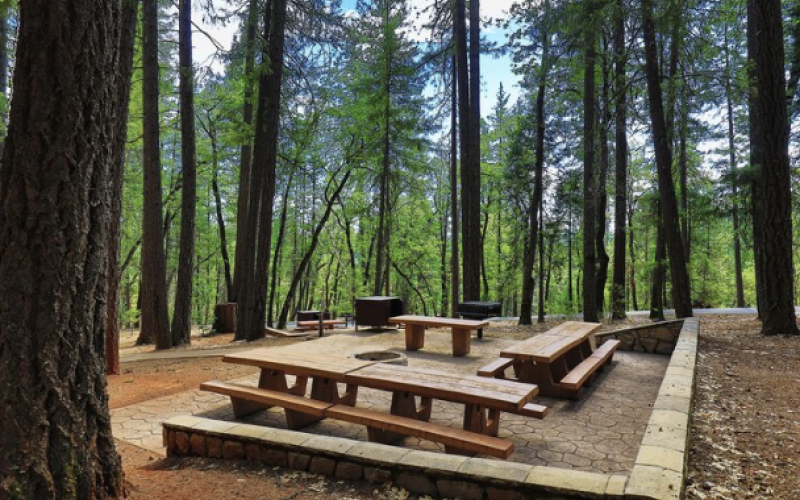 Bushytail Campground